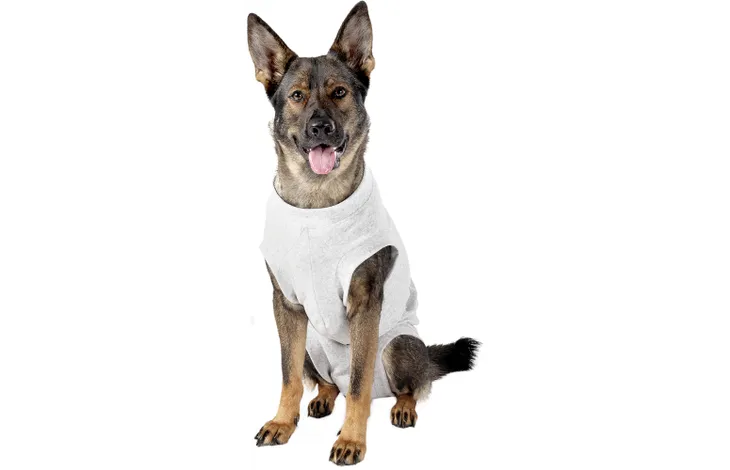 Lichtgrijze honden recovery-body op hond, met beenopeningen en buiksluiting