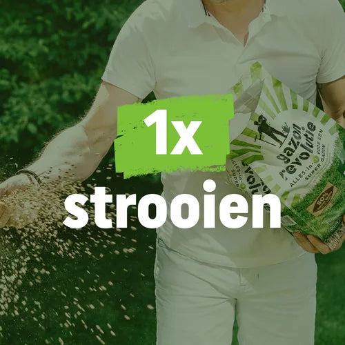 Pokon - Gazon Revolutie 4kg voor 80m2