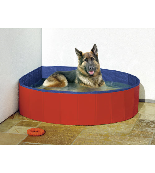 Flamingo hondenzwembad rood met blauw rand, hond ligt erin en speelt met bal