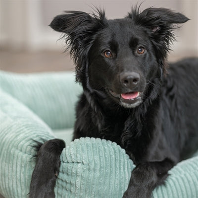 Trixie Hondenmand Jonna Vital Ribstof Saliegroen