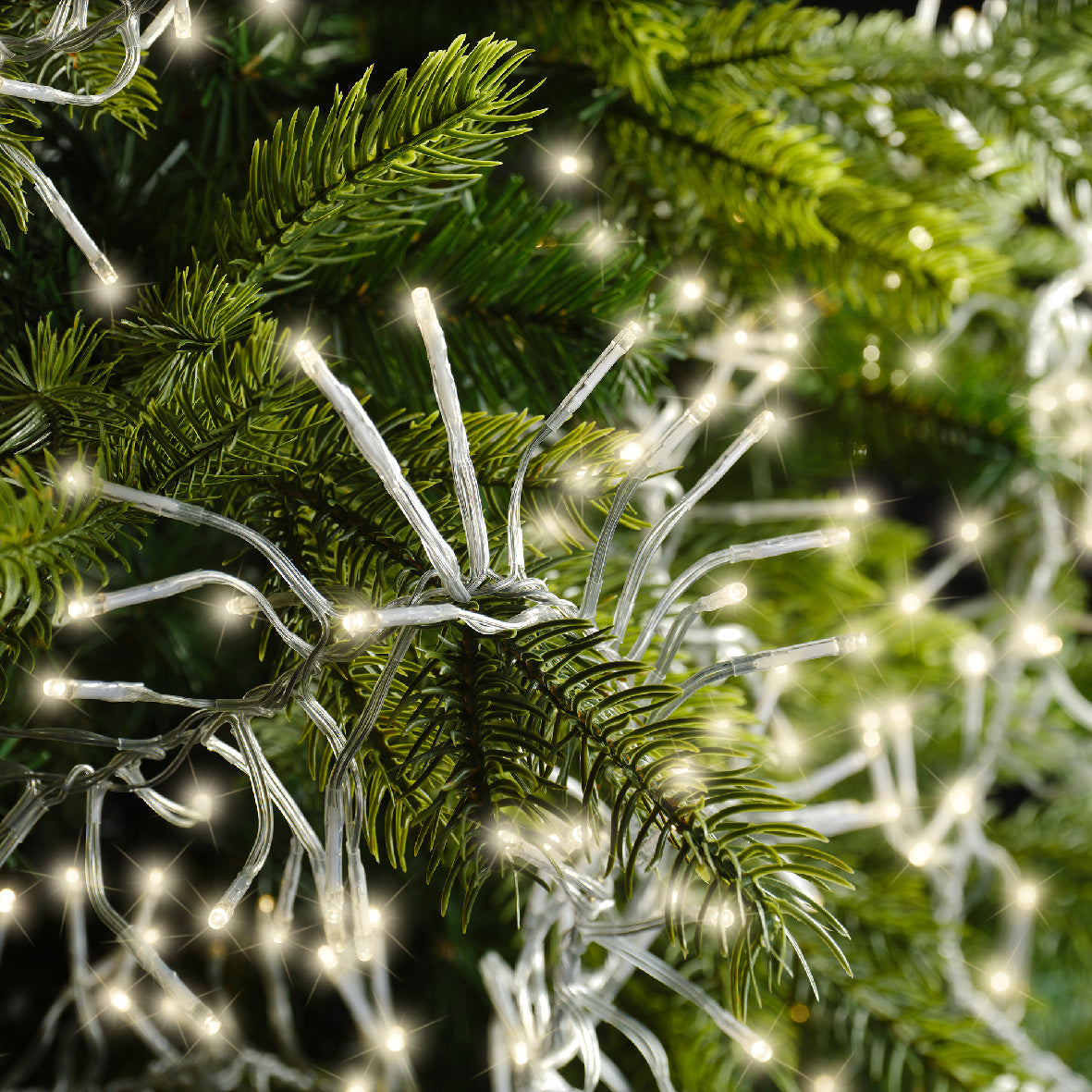 LED cluster lights steady buiten