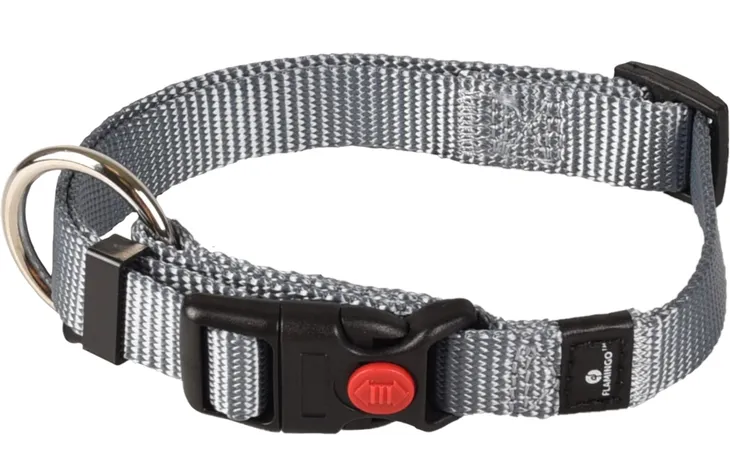 Grijze halsband met zwarte gesp, D-ring en rode klikker