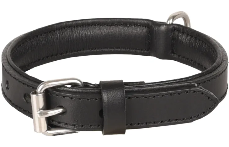 Gevoerde halsband van zwart leer met metalen gesp en D-ring