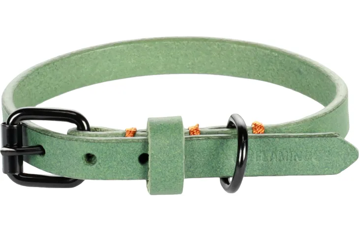 Flamingo halsband Leano groen XS met verstelgesp, zwarte D-ring en oranje koordaccent