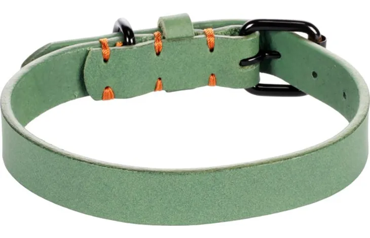Flamingo halsband Leano groen, zwarte sluiting en verstelgaten, oranje details op band