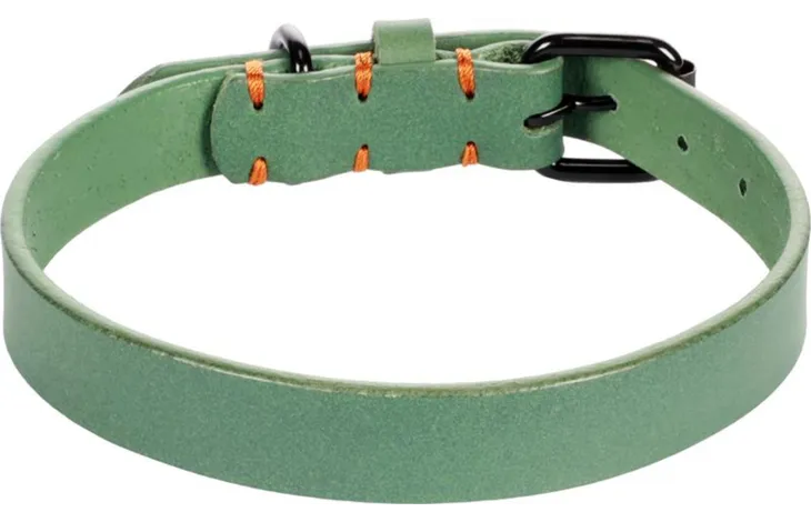 Groene halsband met gesp, oranje stiksels en metalen ringen