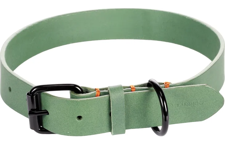 Groene halsband met verstelgesp, D-ringen en oranje details aan de band