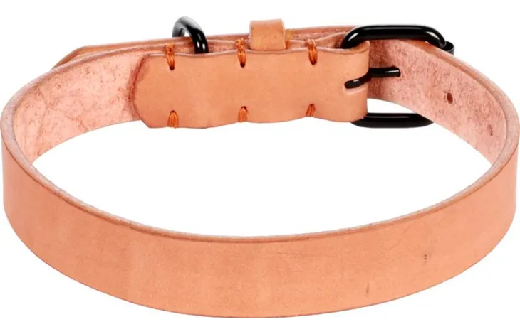 Cognac leren halsband met verstelgaten en zwarte ringen, brede sluitingband