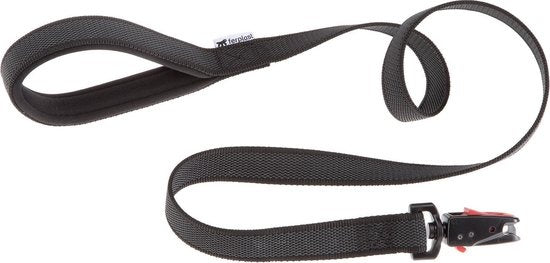 Zwarte nylon honden trainingslijn met gesp en metalen karabijnhaak