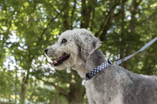 Flamingo Salome - Looplijn Honden - Looplijn Salome Grijs/wit 120cm 15mm