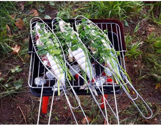 Compacte barbecue met metalen rooster en spiesen op gras