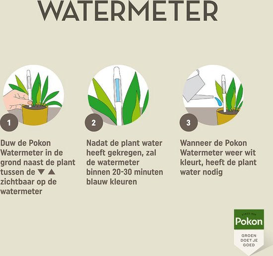 Pokon - Watermeter voor kamerplanten (1 stuks)