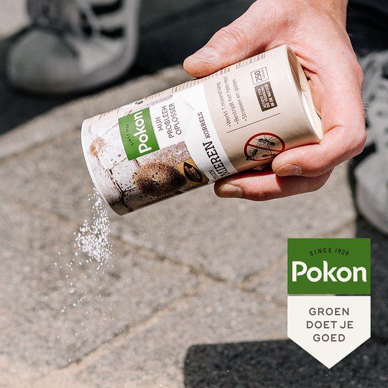 Pokon mierenkorrels in hand met beige bus en korrels op de stoep