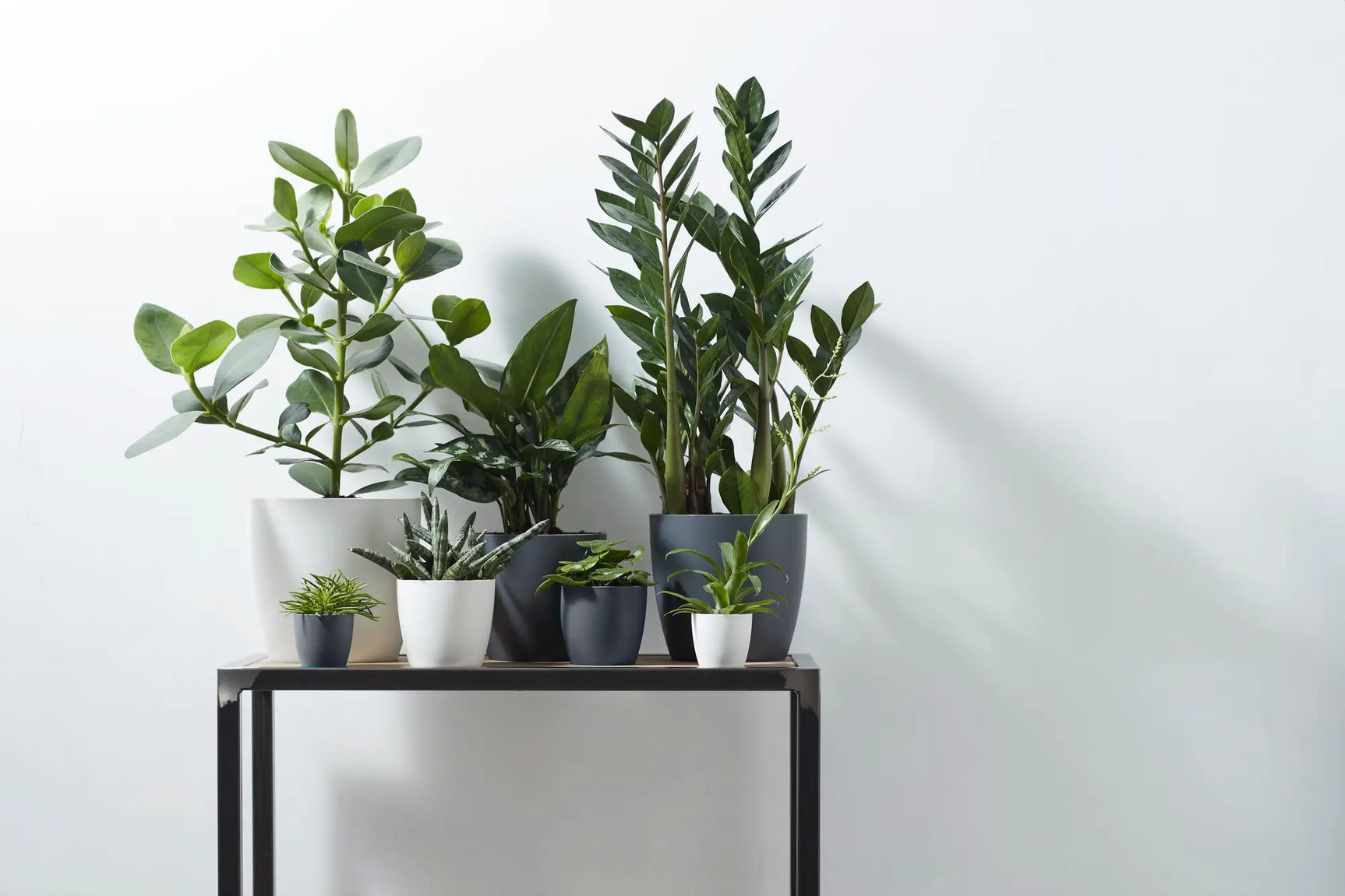 Elho - brussels round mini 12,5cm anthracite