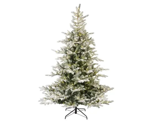 Everlands - Snowy Grandis fir Micro LED indoor 210cm