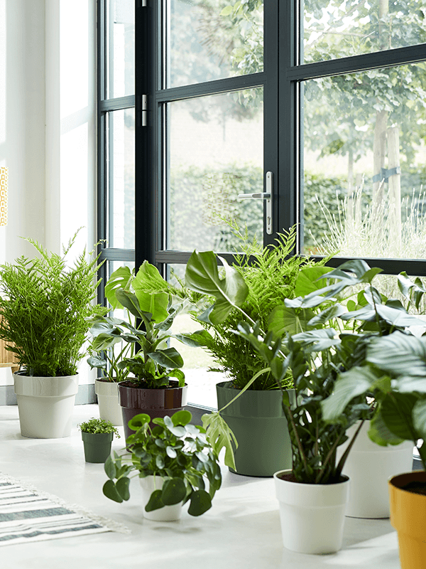 Set ronde plantenpotten in Warm Grey met groene planten op een vensterbank.