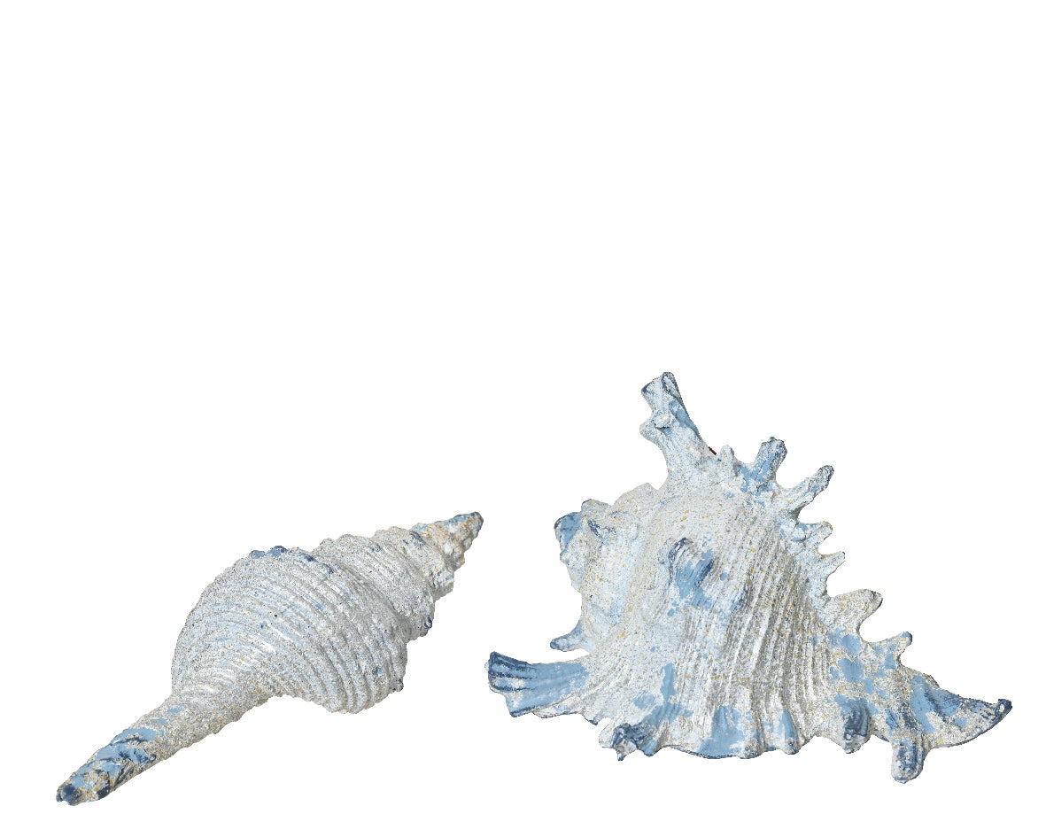 Polyresin schelpen decoratieset met blauwe en zilverkleurige schelpen