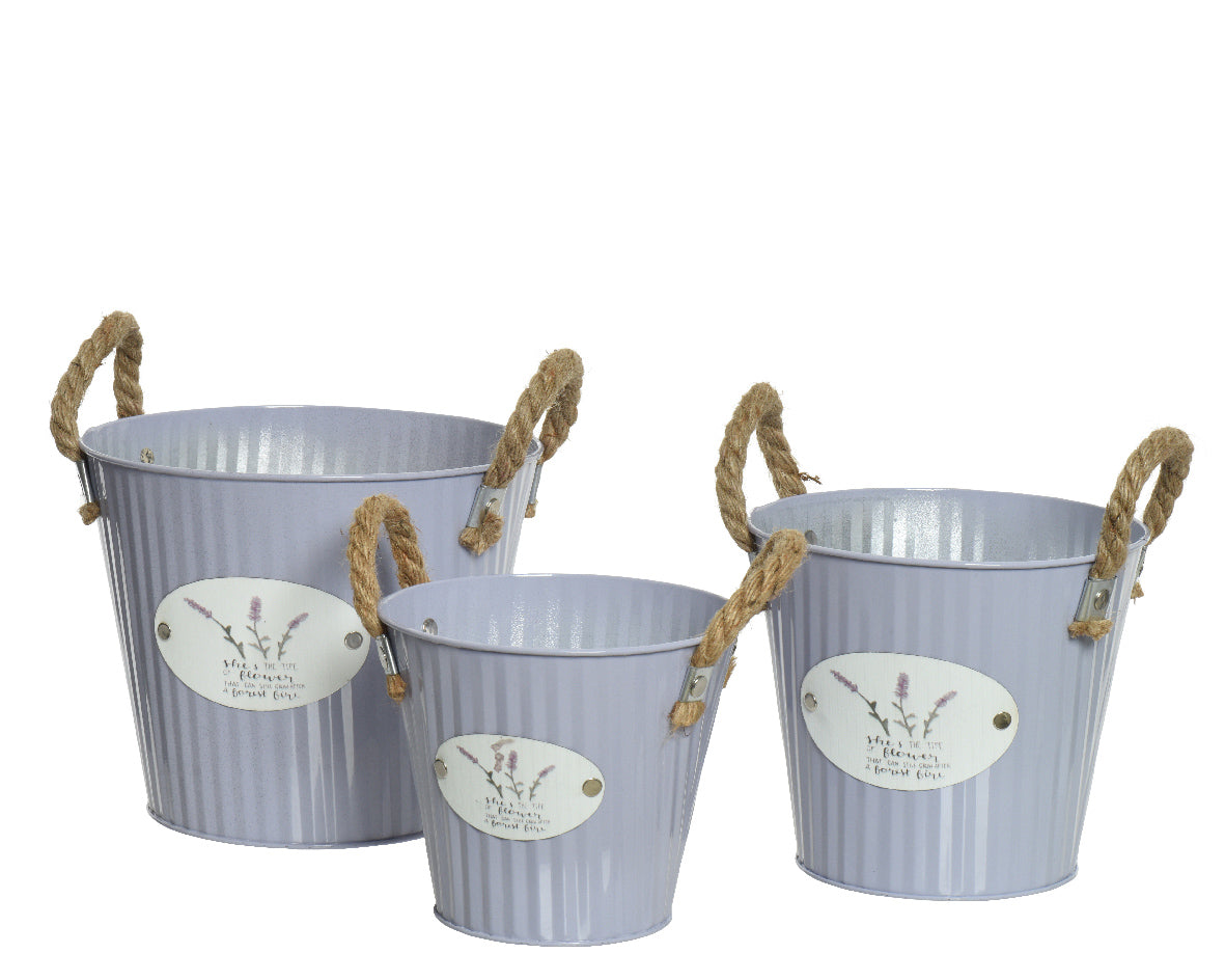 Buiten plantenbakken van gegalvaniseerd metaal, blauw met touwhandgrepen en ovale labels