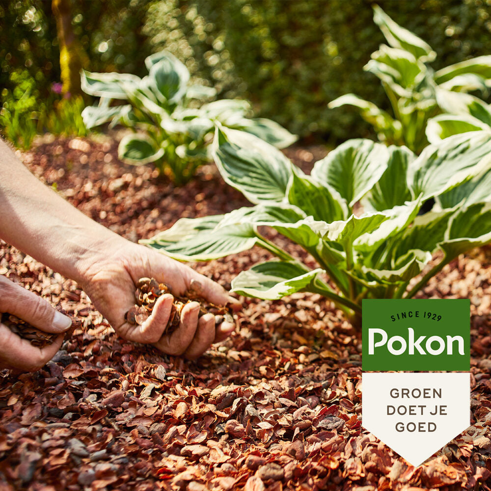 Pokon - Cacaodoppen 40 liter voor 1-2m2