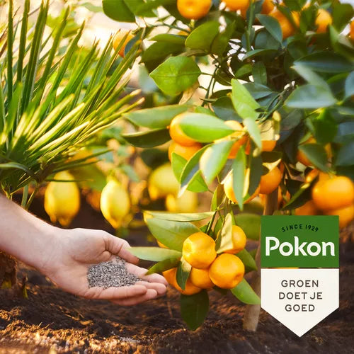 Pokon - Mediterrane Planten Mest 1 kilo voor 25 planten