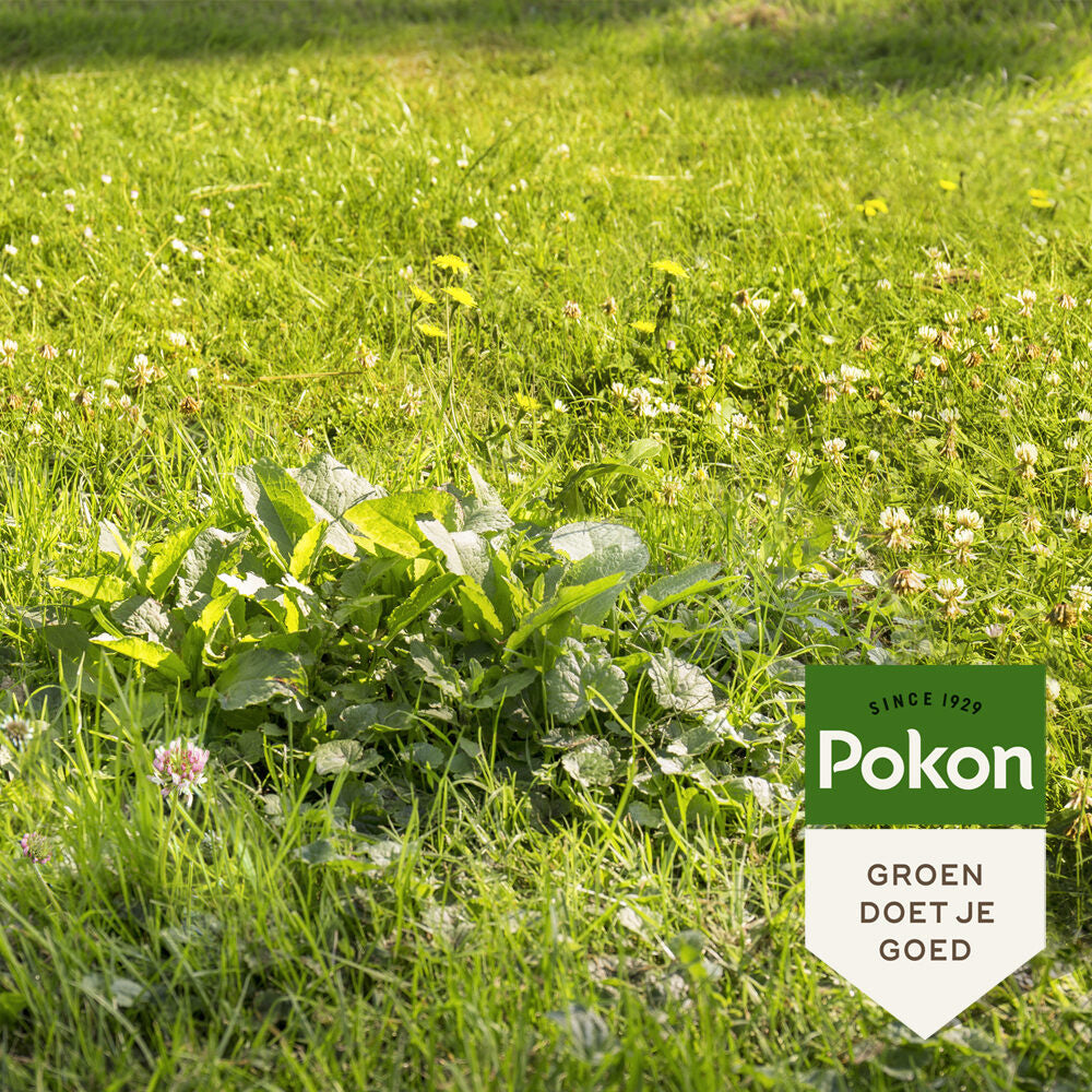 Pokon Onkruid Weg! strooibus 400gr