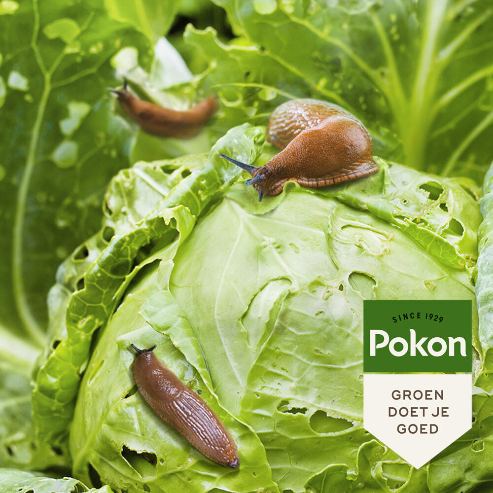 Pokon - BIO Tegen Slakken Korrels 225 gram