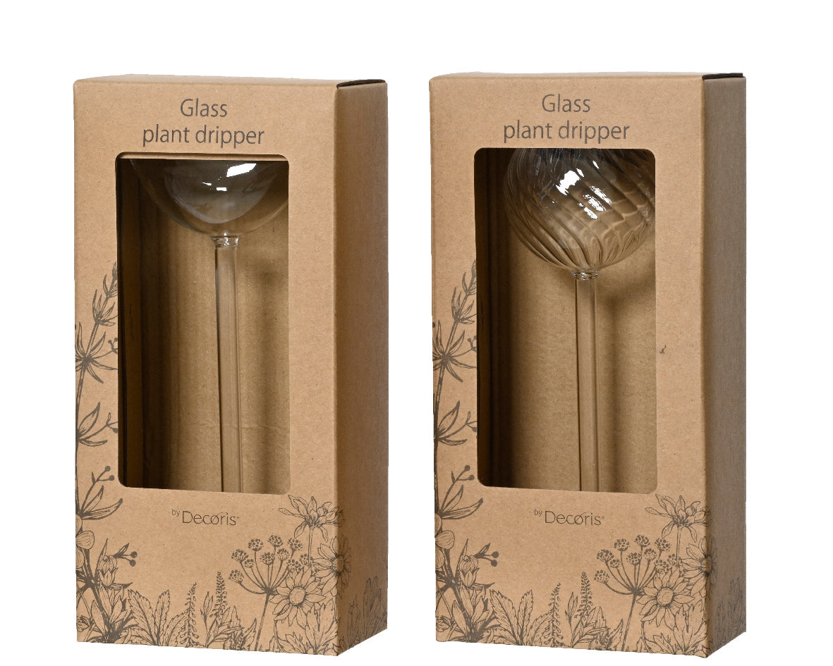 Glazen plantendruppeler in kartonnen verpakking, transparant glas