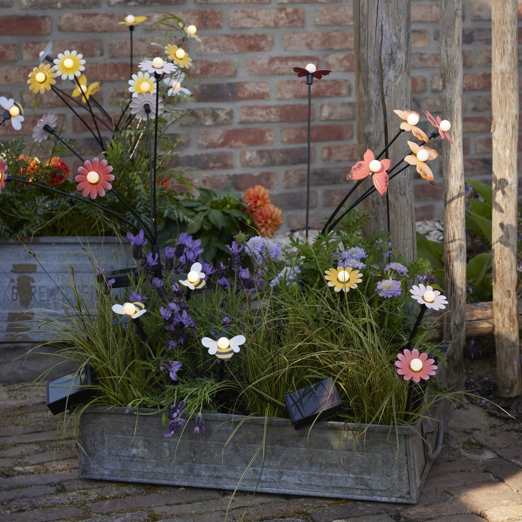 Solar zonnebloem metaal steady