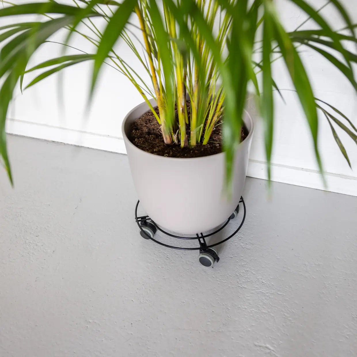 Metalen plant trolley maat S - indoor
