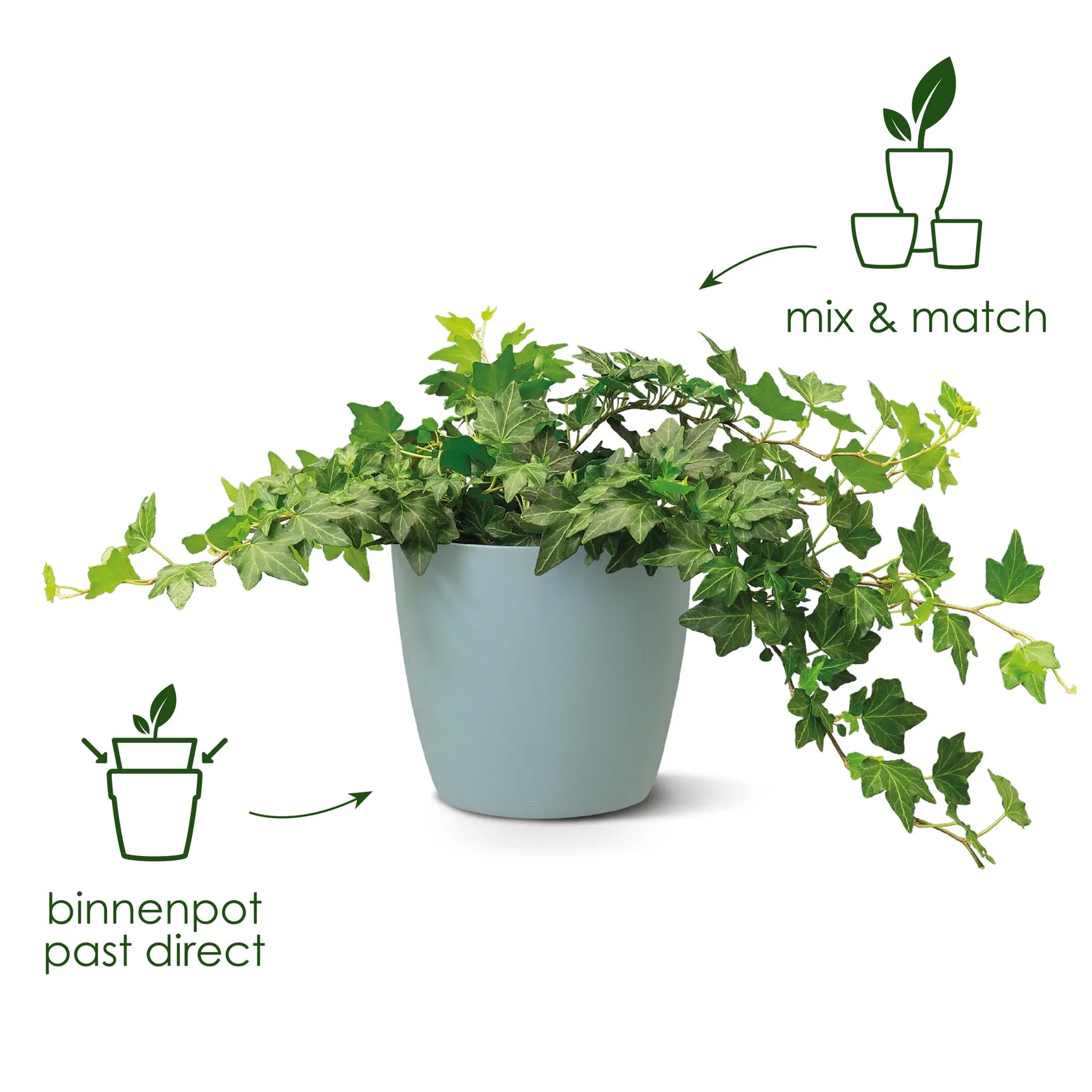 Ronde plantenpot met groene plantenstengels en grijze pot