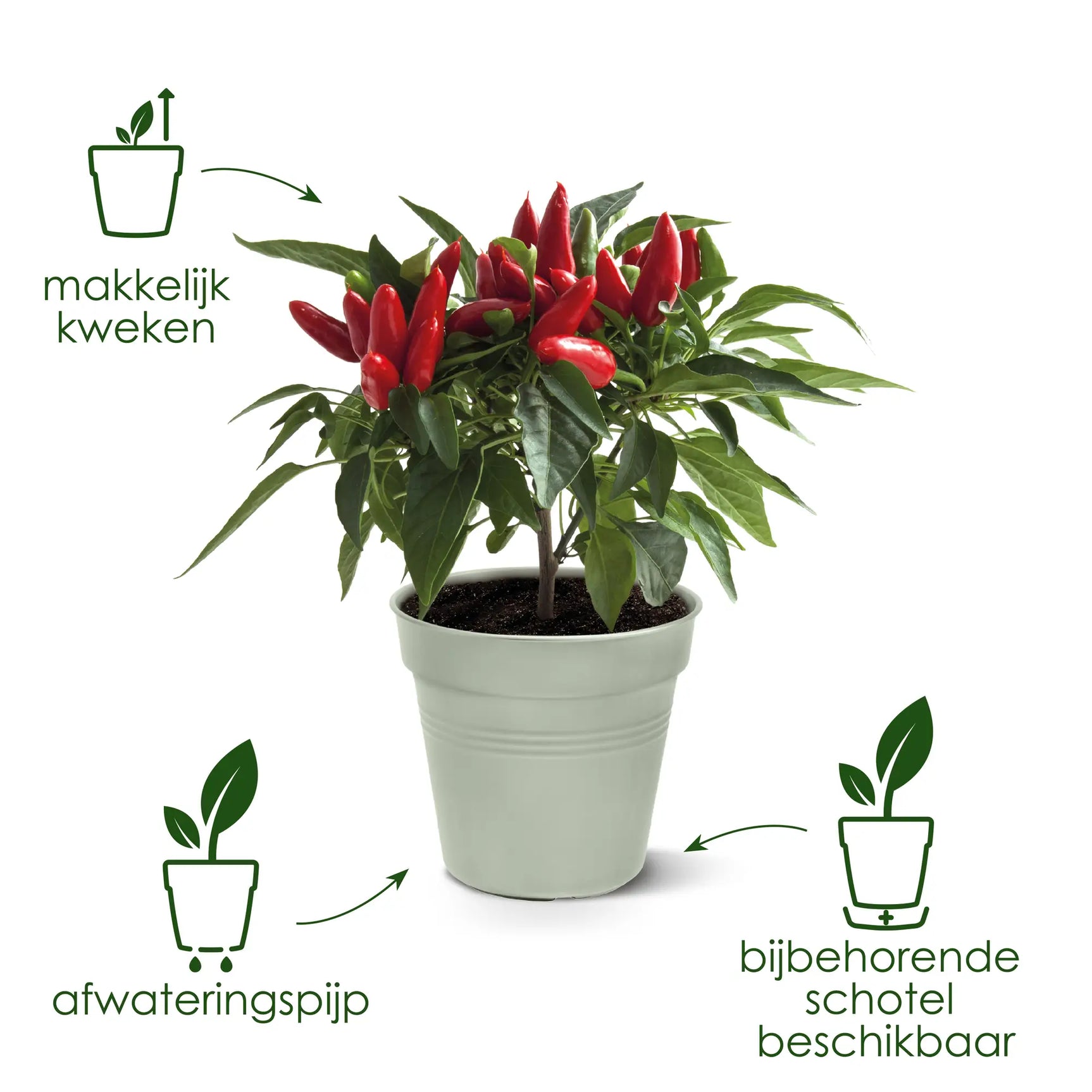 Elho - gb growpot 30cm living black