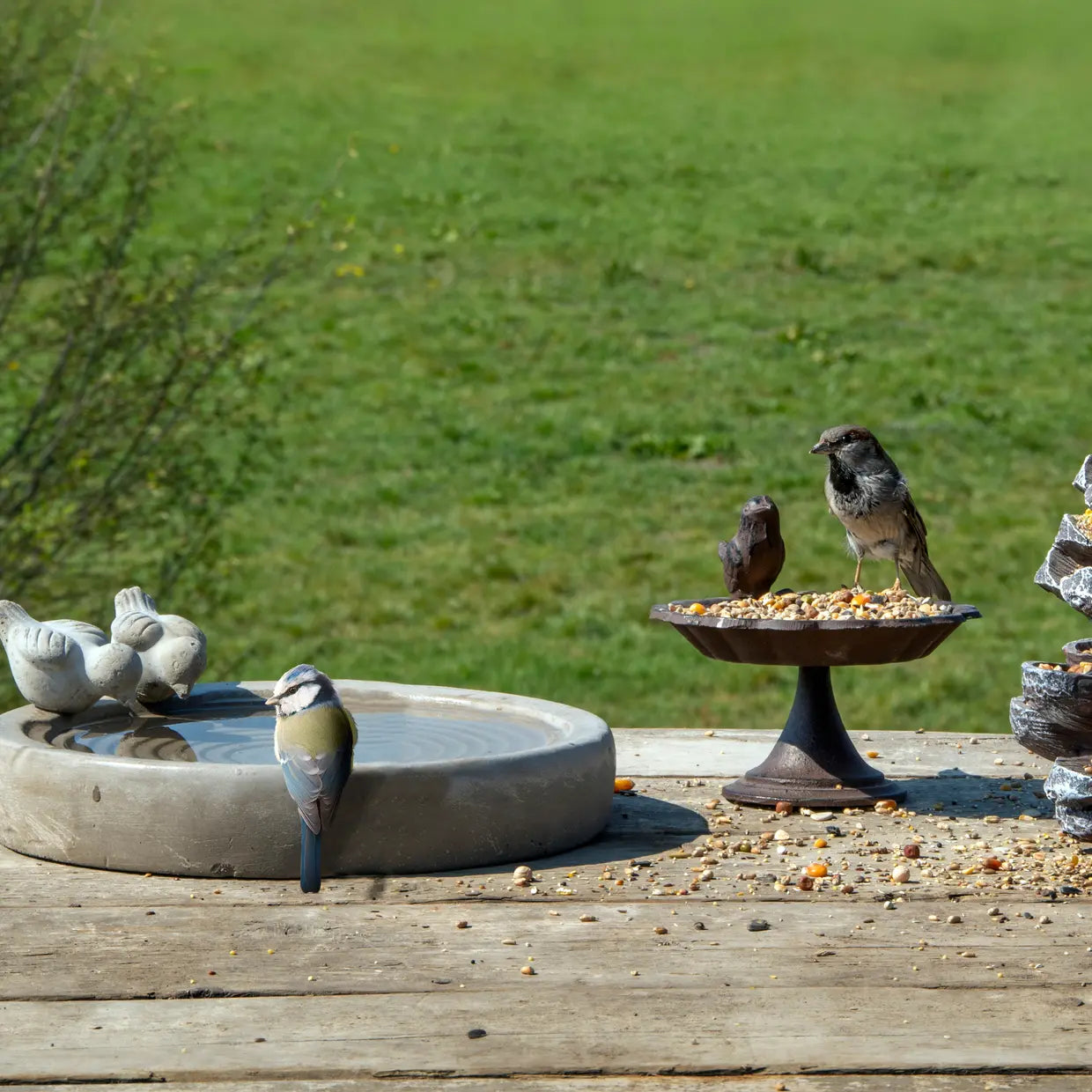 Esschert Design - Vogelbad beton L