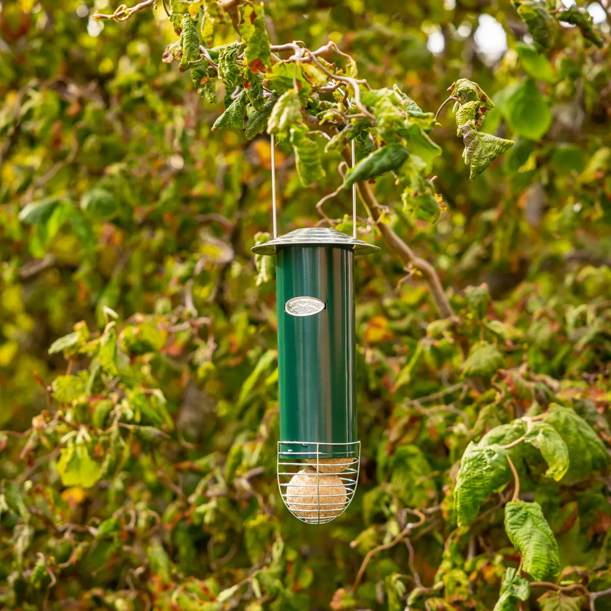 Esschert design - Vetbollenautomaat groen