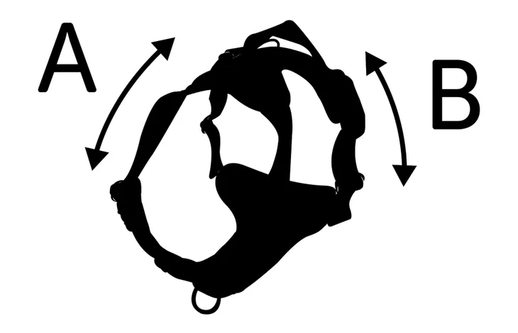 Hondenharnas meetdiagram met pijl A en pijl B op de riemen