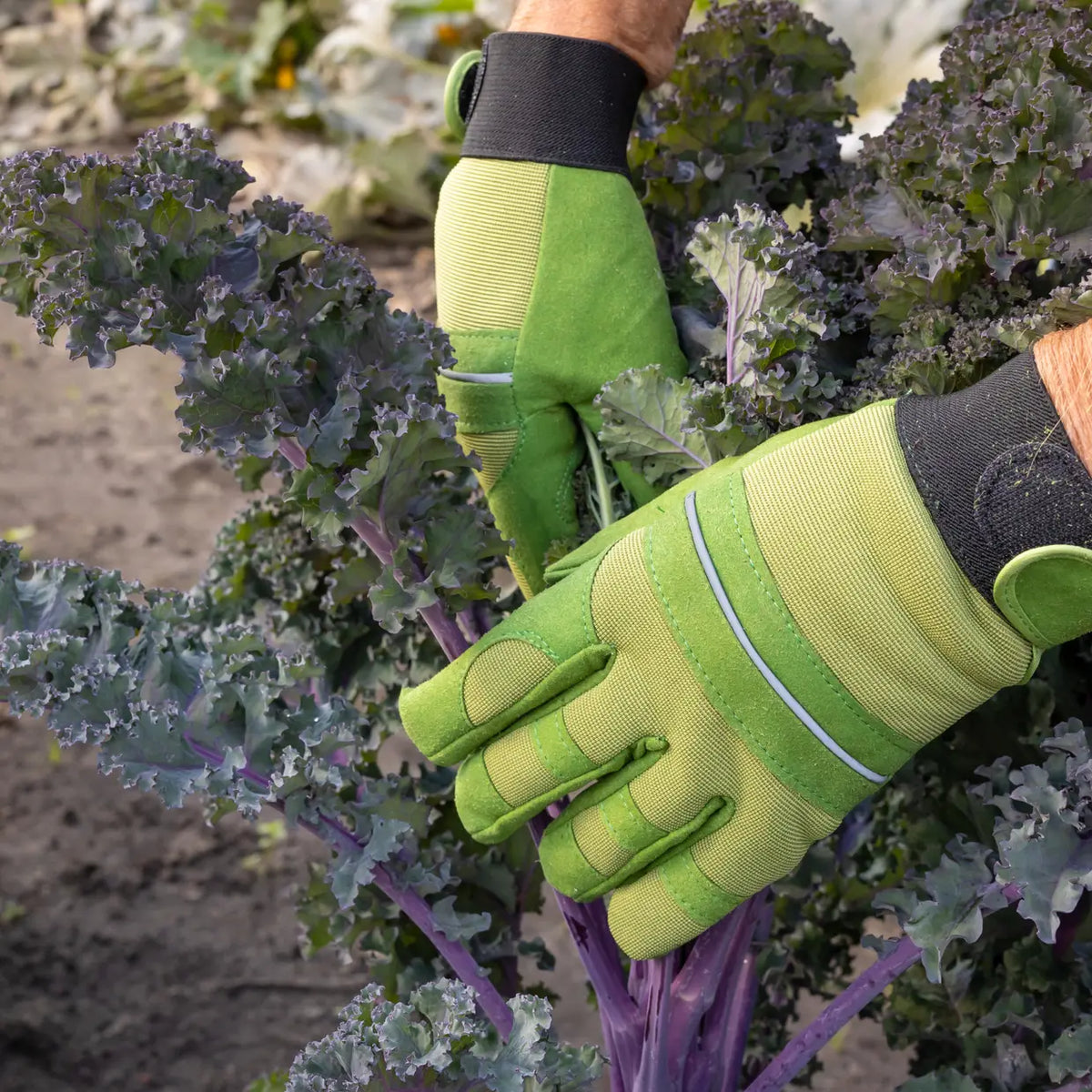 Esschert Design - Gevoerde tuinhandschoenen groen maat L