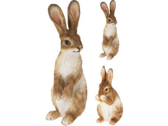 Konijn staand voor buiten, 120