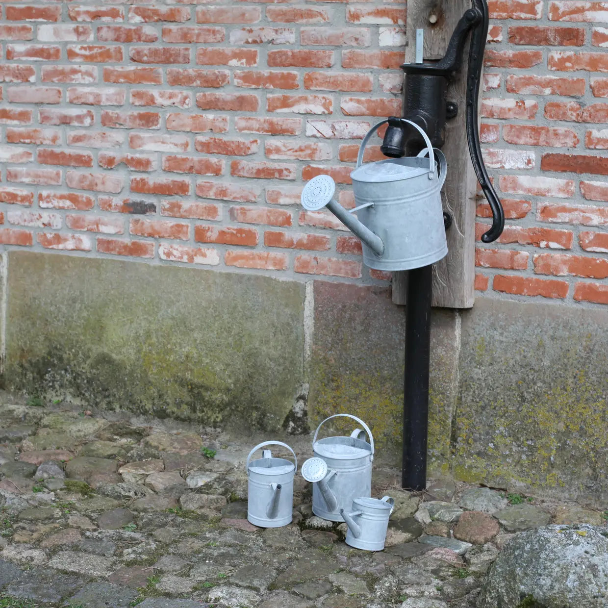 Verouderde zinken gieters: grote en kleine exemplaren met geperforeerde sproeikoppen