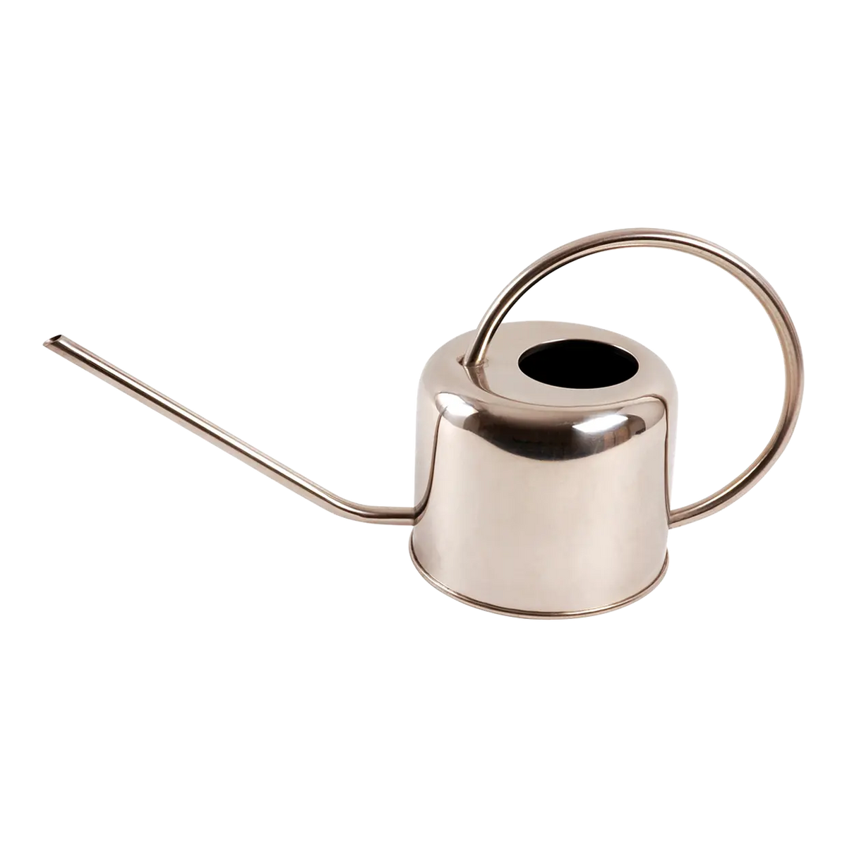 Esschert design - Bloemengieter RVS 1 liter