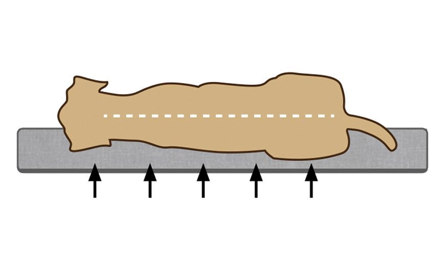 Beeztees Veo – Orthopedische Hondenmand – Mokka – 80x60x22 cm