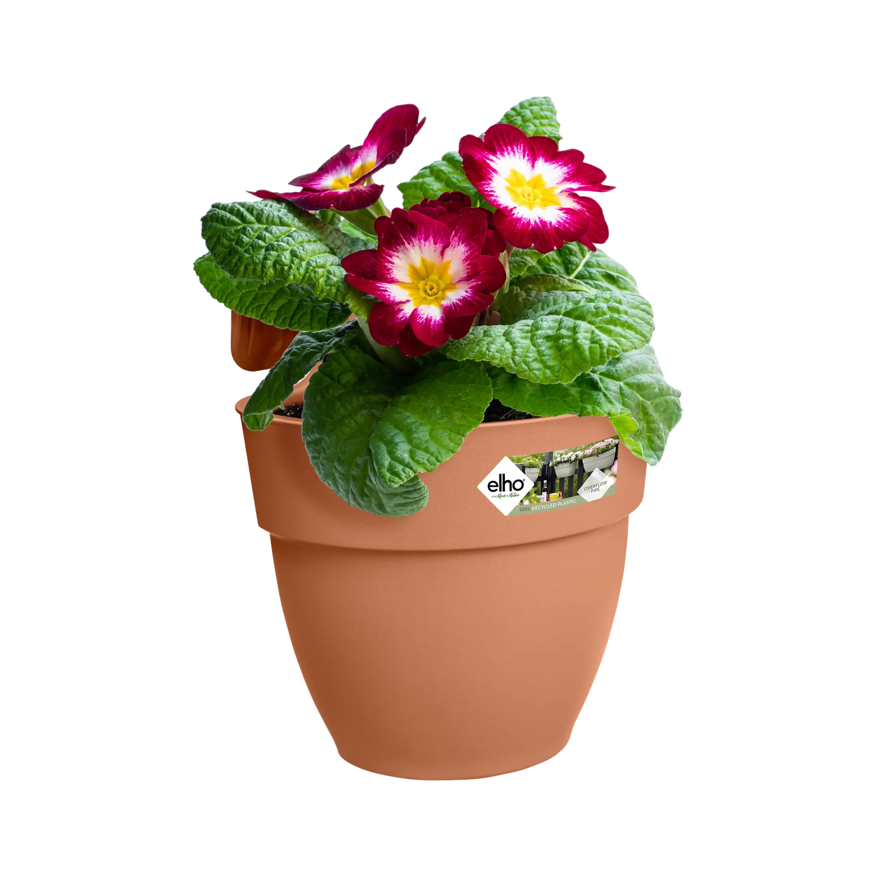 Elho terra plantenbak met bloemen en draagbeugel