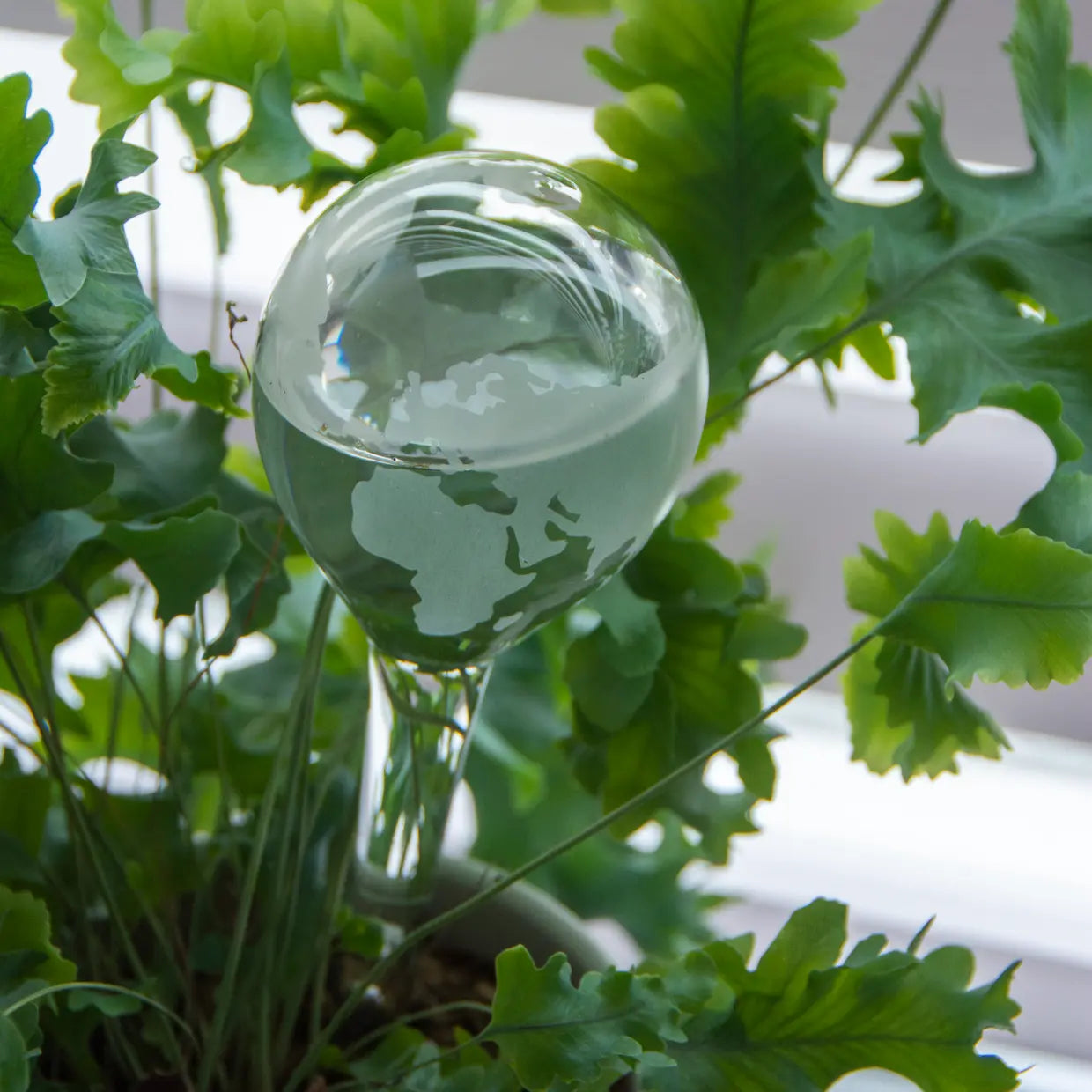 Glazen bewateringsbol globe 175ml - Esschert design