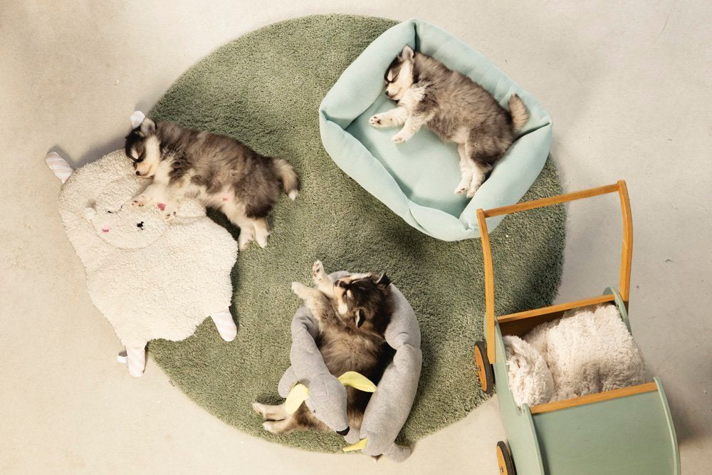 Beeztees - puppy knuffel cosy doggy gr