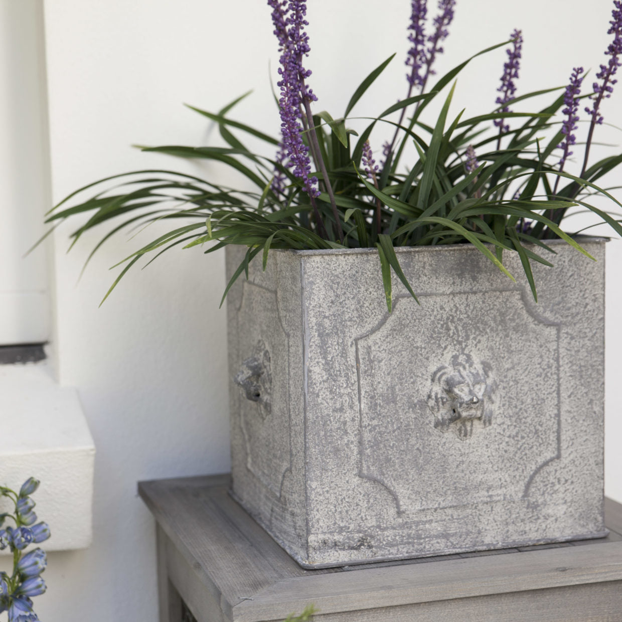 Vierkante metalen bloempot met leeuwreliëf met paarse bloemen en siergrassen