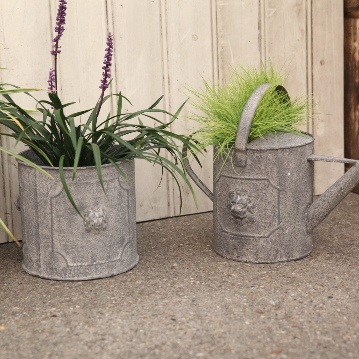 Set van 2 ronde metalen bloempotten met leeuwrelief, vergrijsd