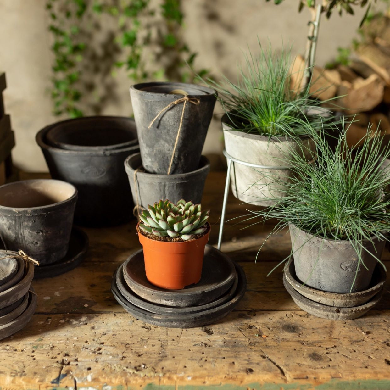 Esschert design - Aged Terracotta bloempot grijs 9,6cm