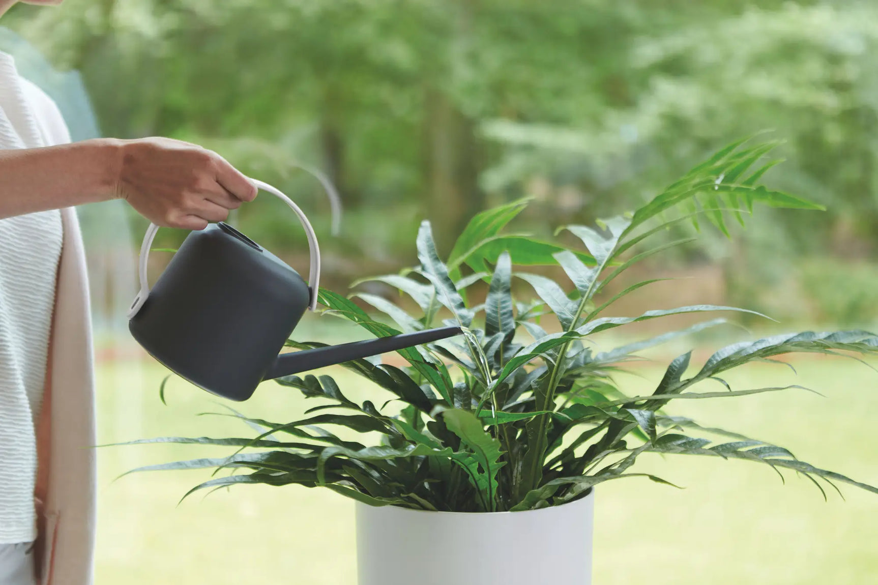 Grijze gieter met lange tuit die water over planten giet