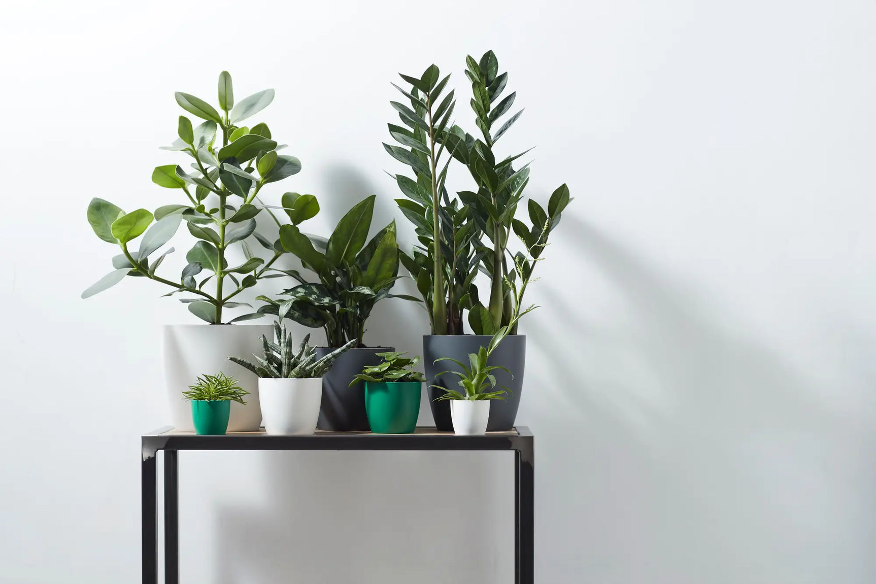 Elho - brussels round 14cm anthracite