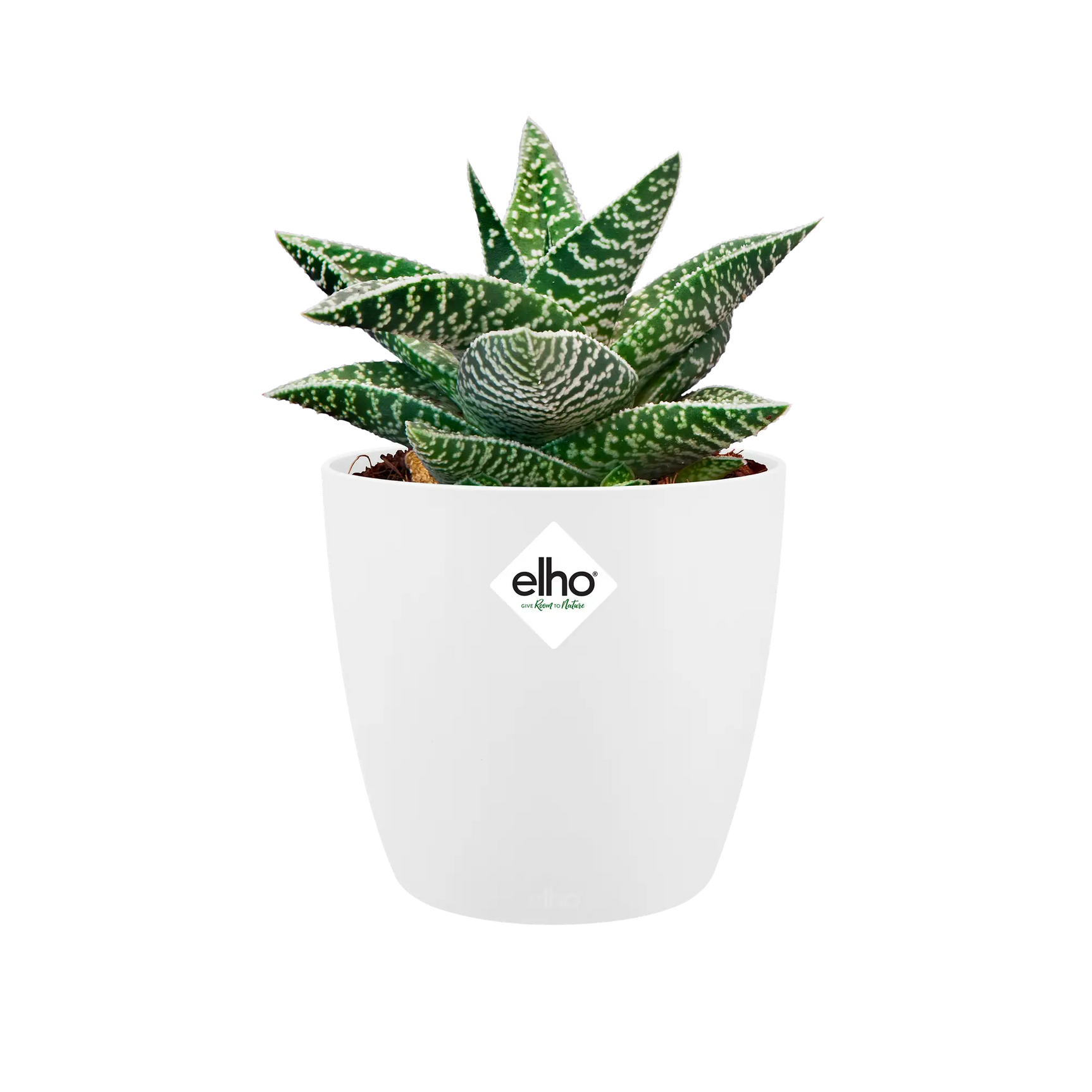 Elho brussels ronde mini plantenpot met groene vetplant en wit logo op de voorkant.