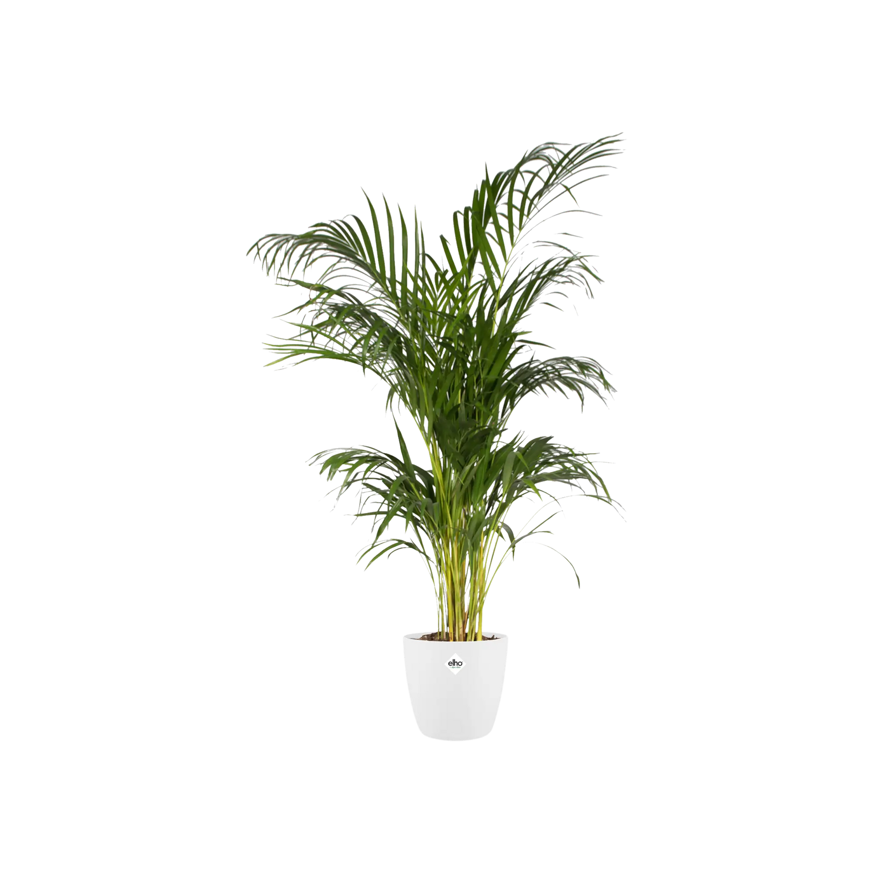 Elho - brussels round 14cm white