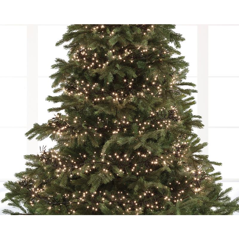 LED cluster lights steady buiten 550cm